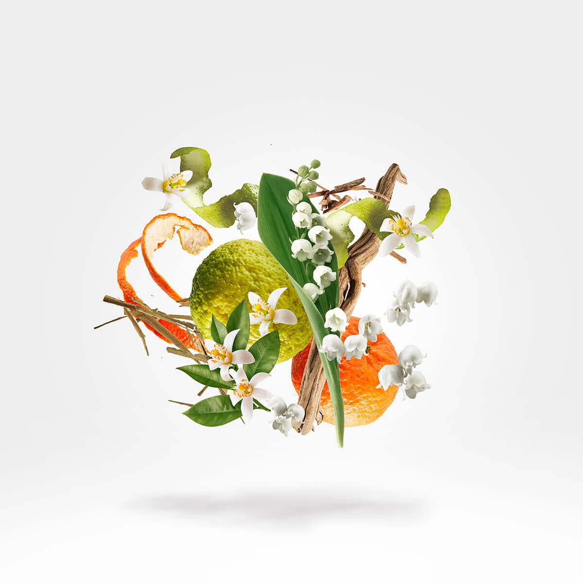 Renaissance – Art of Essence