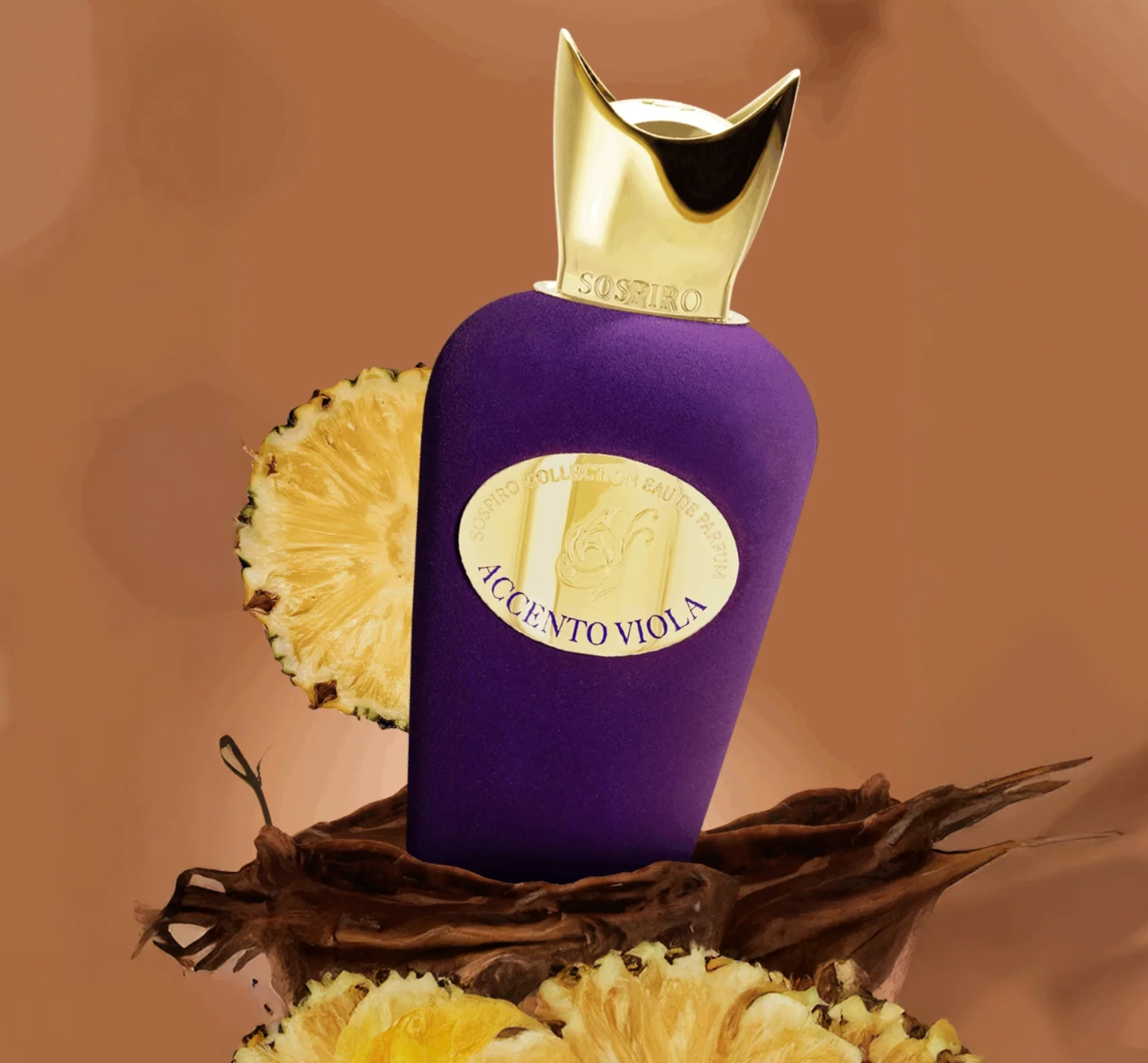Accento Viola