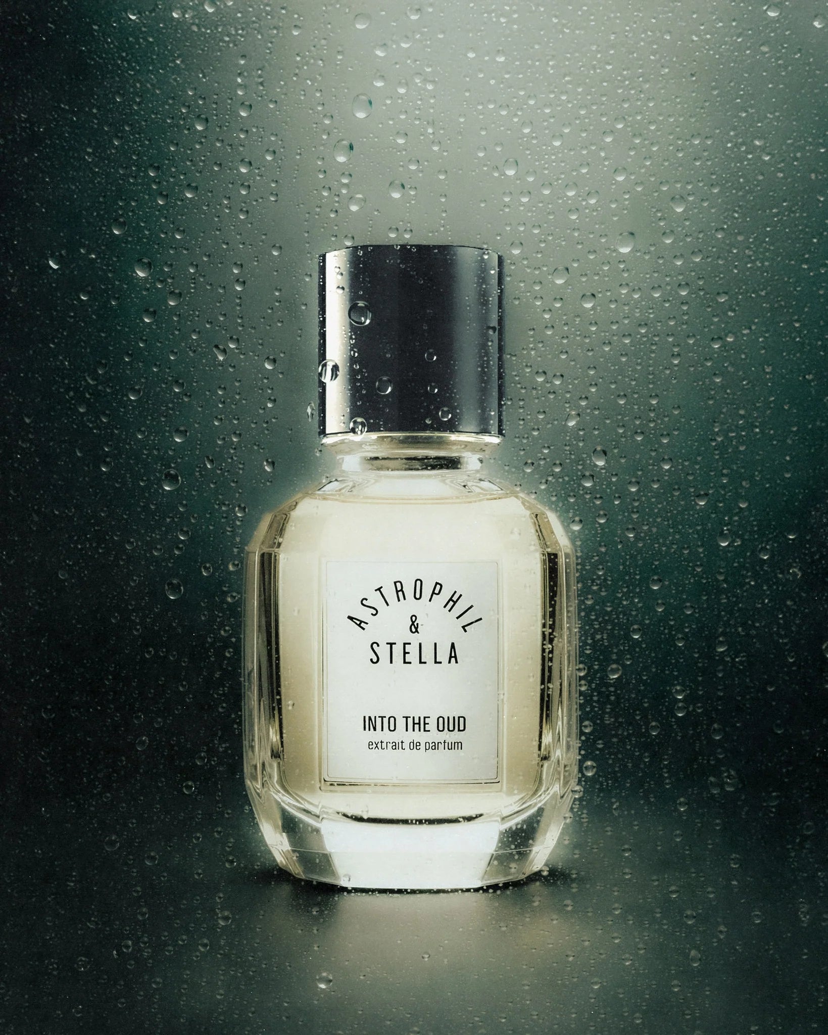 Into the Oud