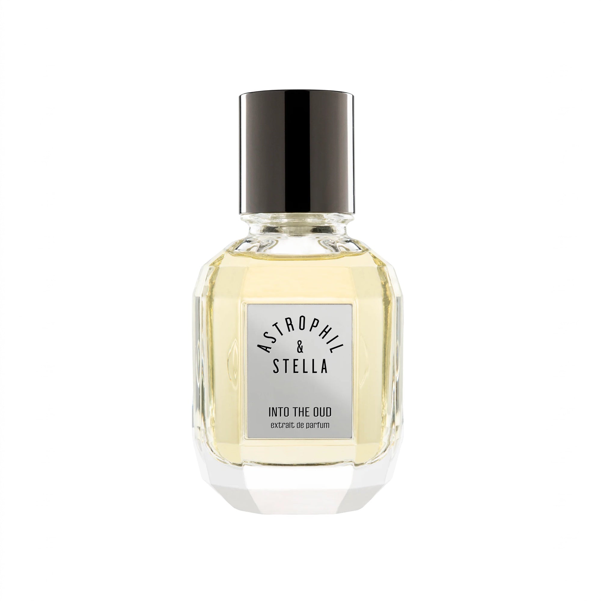 Into the Oud